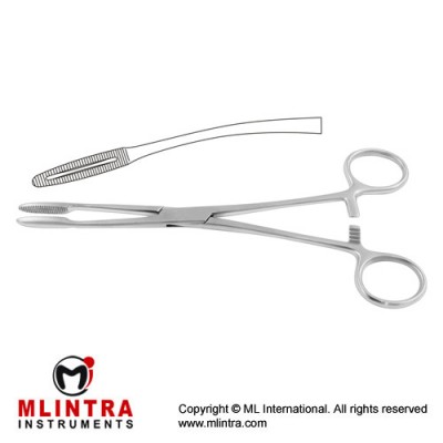 Gross-Maier Dressing Forcep Curved - With Ratchet Stainless Steel, 20 cm - 8"